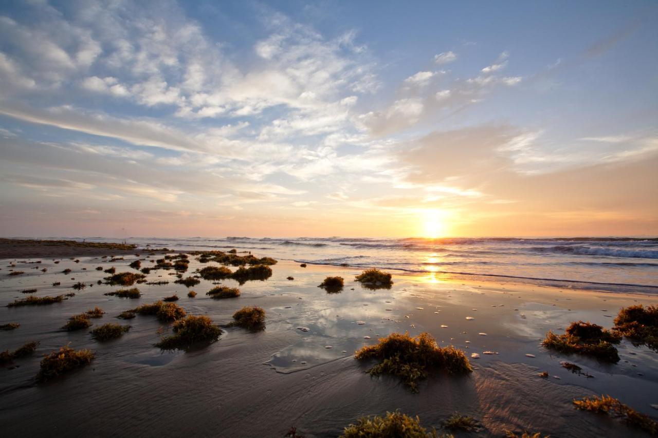 Island Serenity South Padre Island Zewnętrze zdjęcie